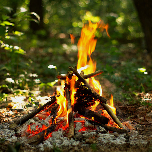 Wildfire Wisdom: Building and Enjoying Campfires Safely